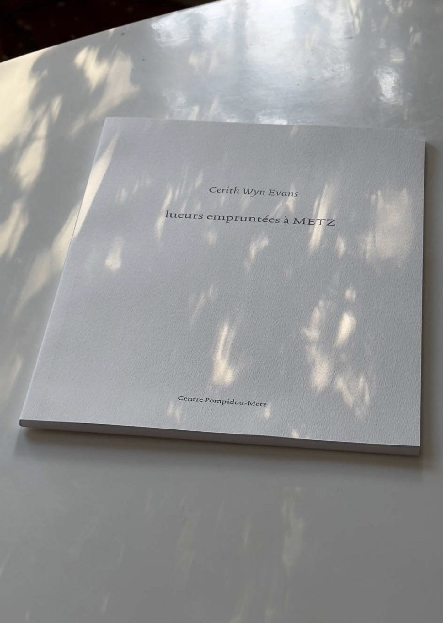 Couverture de WYN EVANS, Cerith, Éric ALLIEZ, Lueurs empruntées à Metz, Centre Pompidou, 80 p., 2024